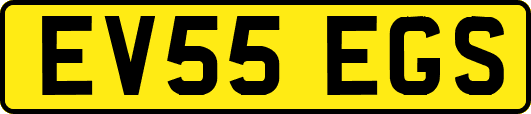 EV55EGS
