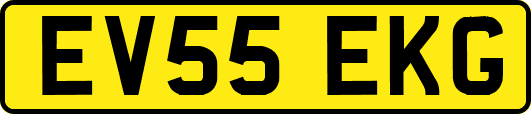 EV55EKG