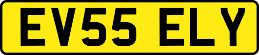 EV55ELY