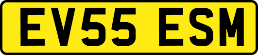 EV55ESM