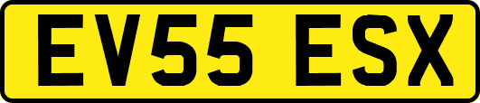 EV55ESX