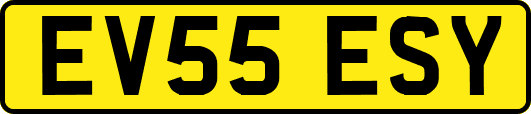 EV55ESY