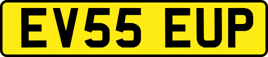 EV55EUP