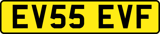 EV55EVF