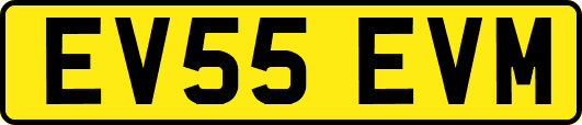 EV55EVM