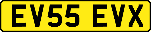 EV55EVX