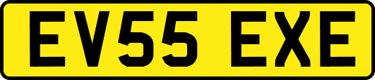EV55EXE