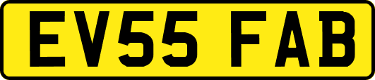 EV55FAB