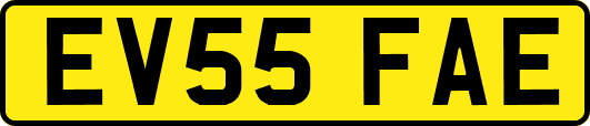 EV55FAE