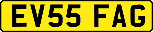 EV55FAG