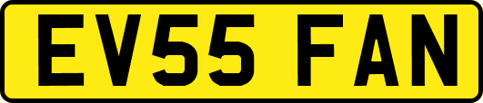 EV55FAN