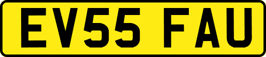 EV55FAU
