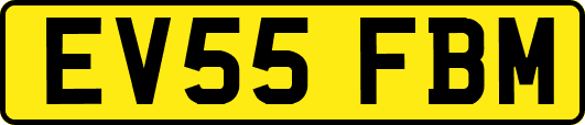 EV55FBM