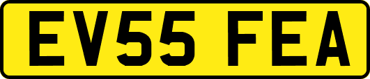 EV55FEA