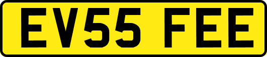 EV55FEE