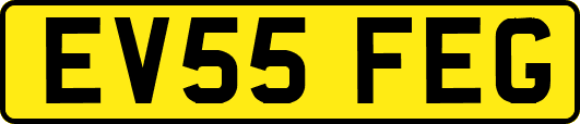 EV55FEG