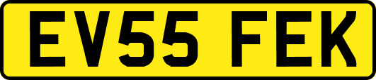 EV55FEK