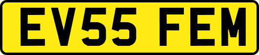 EV55FEM