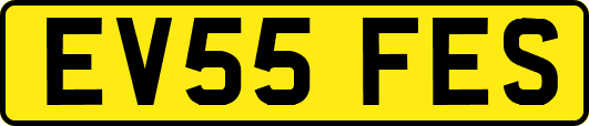 EV55FES