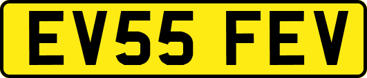 EV55FEV