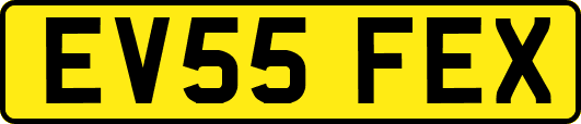 EV55FEX