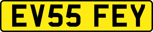EV55FEY
