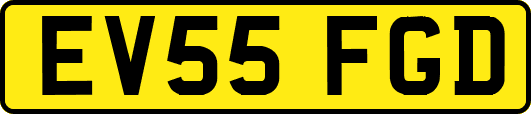 EV55FGD