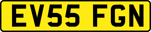 EV55FGN