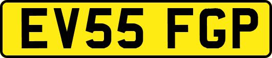 EV55FGP