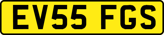EV55FGS