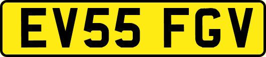EV55FGV