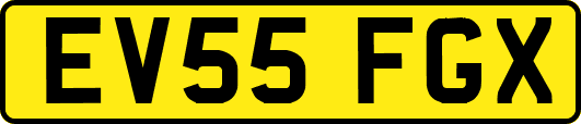 EV55FGX