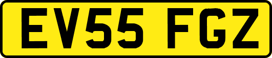 EV55FGZ