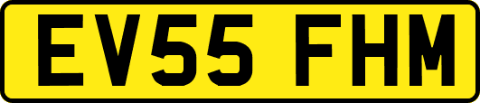 EV55FHM
