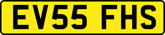 EV55FHS