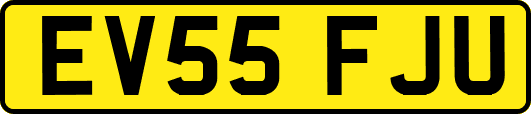 EV55FJU
