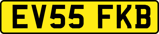 EV55FKB
