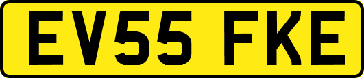 EV55FKE