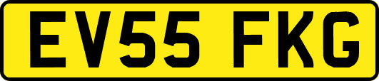 EV55FKG