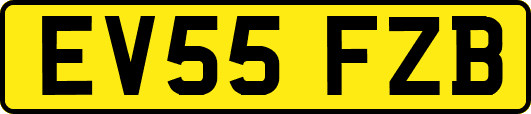 EV55FZB