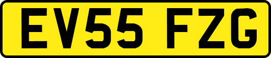 EV55FZG