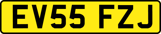 EV55FZJ