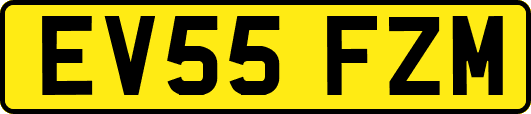EV55FZM