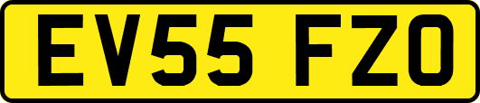 EV55FZO