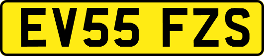 EV55FZS