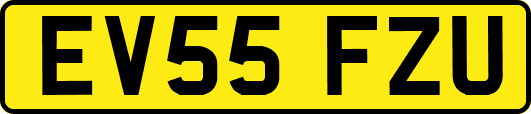 EV55FZU