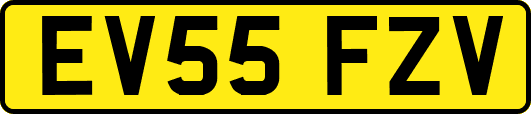 EV55FZV