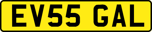 EV55GAL