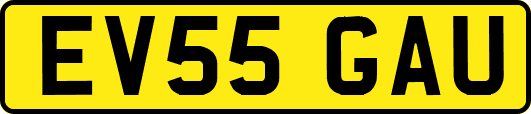 EV55GAU