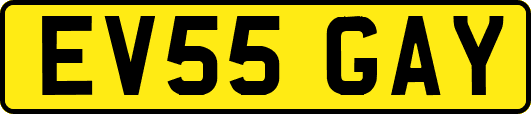 EV55GAY